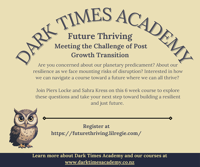 Future Thriving-Meeting the challenge of Post Growth Transition logo